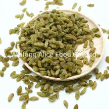 China Made New Crop Xinjiang Natural Raisins Dried Green Raisins